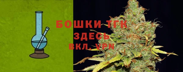 МДПВ Дмитровск