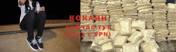 apvp Дмитров