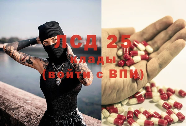 хмурый Дмитриев