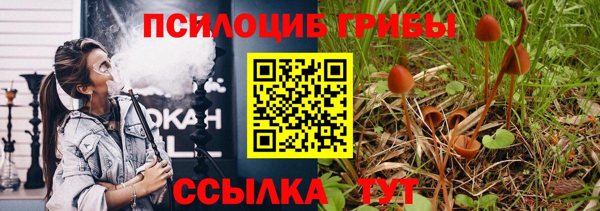 Псилоцибиновые грибы MAGIC MUSHROOMS Выборг