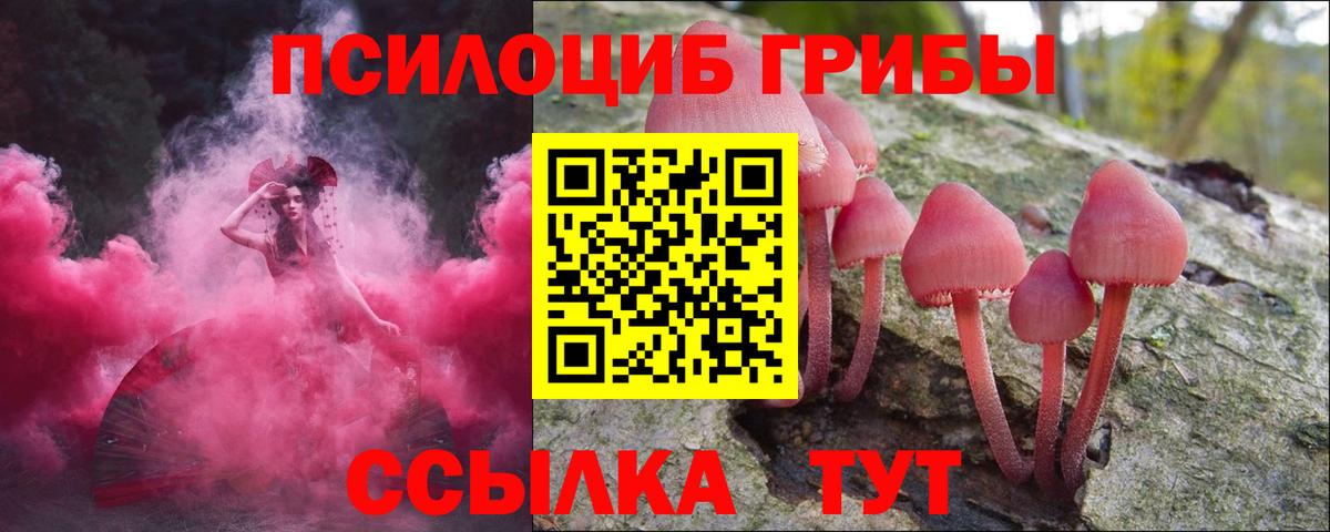 Псилоцибиновые грибы Psilocybine cubensis  Галлюциногенные грибы Magic Shrooms  Вход с VPN  Выборг 