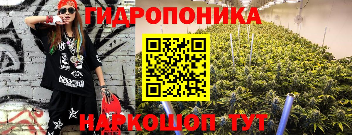 Бошки Шишки гибрид  Конопля планчик  Вход с VPN  Выборг  Марихуана гибрид 